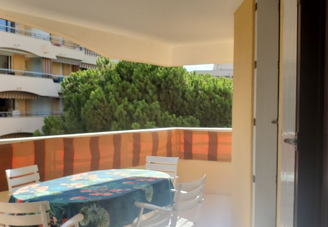 Apartment in Fréjus - Fréjus Plage, La MIOUGRANO, beautiful 3 room apartment, 5 people, large balcony, box in the basement, sought-after residence with swimming pool Apartment in Fréjus - Fréjus Plage, La MIOUGRANO, beautiful 3 room apartment, 5 people, large balcony, box in the basement, sought-after residence with swimming pool