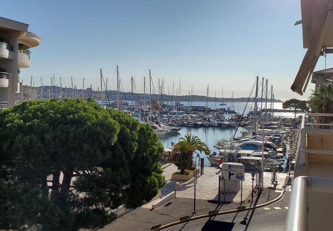  in Fréjus - Port Fréjus, Les rives Latines, 100 m from the beaches, 2 rooms, 40m2, capacity 4/5 people, balcony with port view, air-conditioned, WIFI closed garage