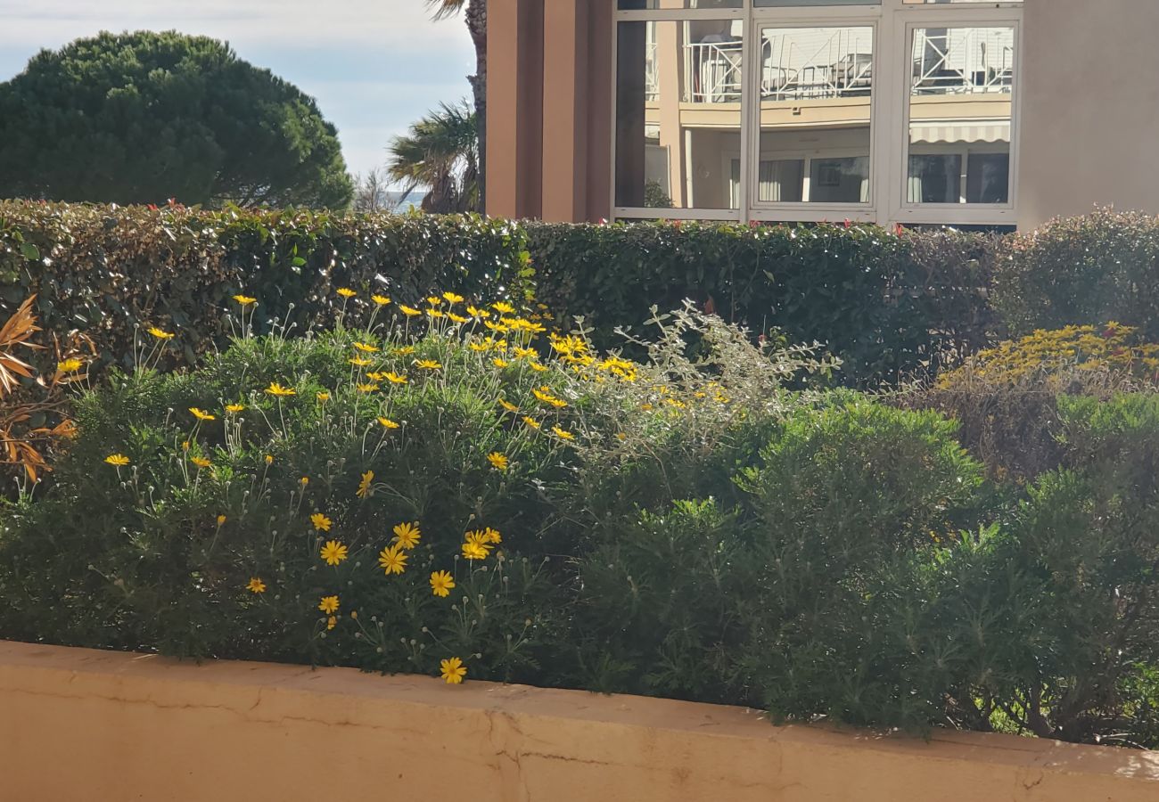 Apartment in Fréjus - Port-Fréjus, Cap Hermès, 2/3 rooms 50m2,WIFI, 6 beds, swimming pool, air-conditioned, parking, direct access to the beach, large terrace 50m2 for a pleasant stay in the sun, relaxation and leisure