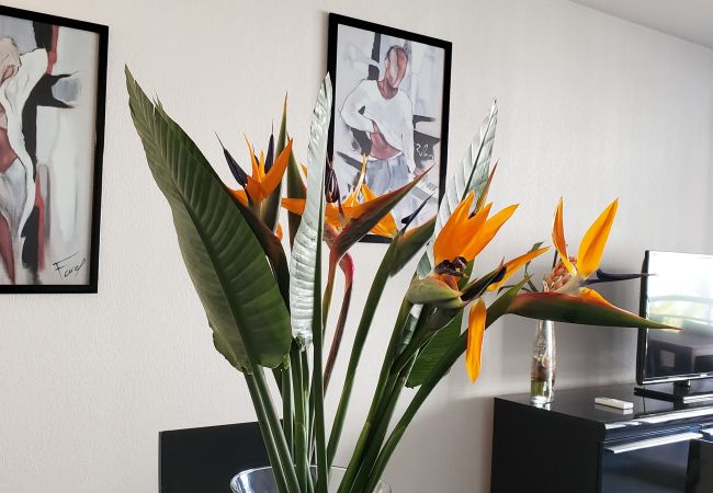 Apartment in Fréjus - Port-Fréjus, Cesaree Borghèse, 2/3 rooms 52m2, 4 beds, swimming pool, air-conditioned, parking, close access to the beach, large balcony for a pleasant stay in the sun, relaxation and leisure Apartment in Fréjus - Port-Fréjus, Cesaree Borghèse, 2/3 rooms 52m2, 4 beds, swimming pool, air-conditioned, parking, close access to the beach, large balcony for a pleasant stay in the sun, relaxation and leisure