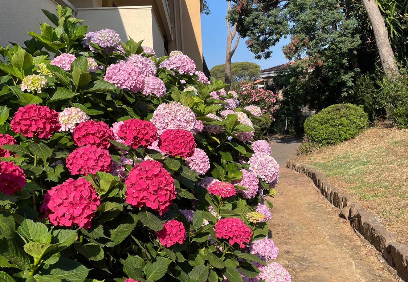 Apartment in Saint Raphael - LA Péguière, 2-room apartment (27m²), for 2 adults and 1 child, air-conditioned, garden, parking and beach 5 minutes walk away