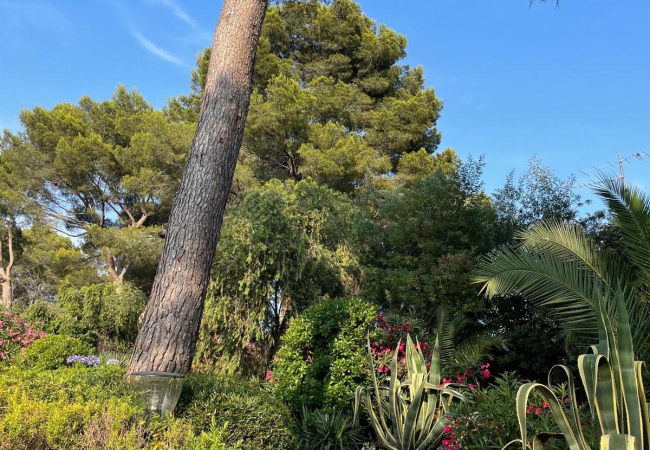 Apartment in Saint Raphael - LA Péguière, 2-room apartment (27m²), for 2 adults and 1 child, air-conditioned, garden, parking and beach 5 minutes walk away