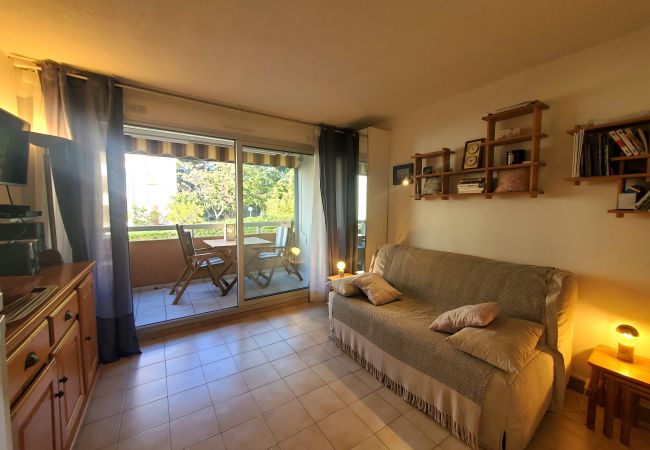 Saint Raphael - Estudio
