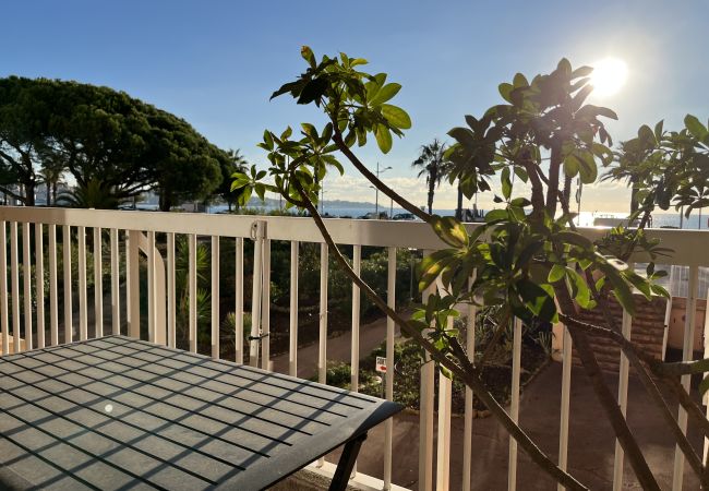 Appartamento a Fréjus - Fréjus Plage, Le Méditerranée, Grande T2, 56 m2, 4 persone, Vista Mare Appartamento a Fréjus - Fréjus Plage, Le Méditerranée, Grande T2, 56 m2, 4 persone, Vista Mare