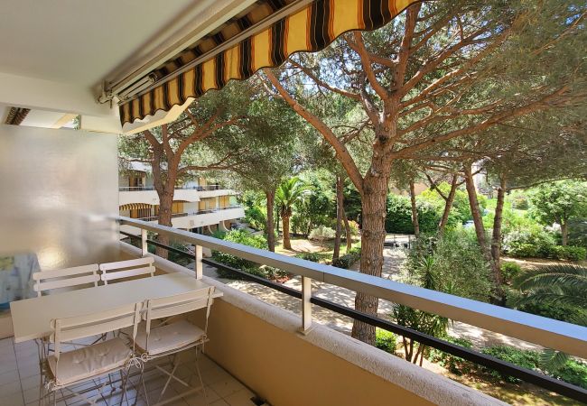 Studio à Fréjus - FREJUS PLAGE La Miougrano Studio 25m2 Piscine 300m des Plages Balcon sur jardin 2 Personnes