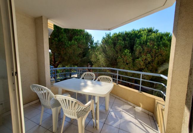 Fréjus - Appartement