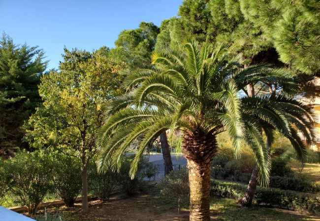 Appartement à Fréjus - MIOUGRANO T2 55m2 Lumineux Climatisé Plage Piscine Parking Appartement à Fréjus - MIOUGRANO T2 55m2 Lumineux Climatisé Plage Piscine Parking