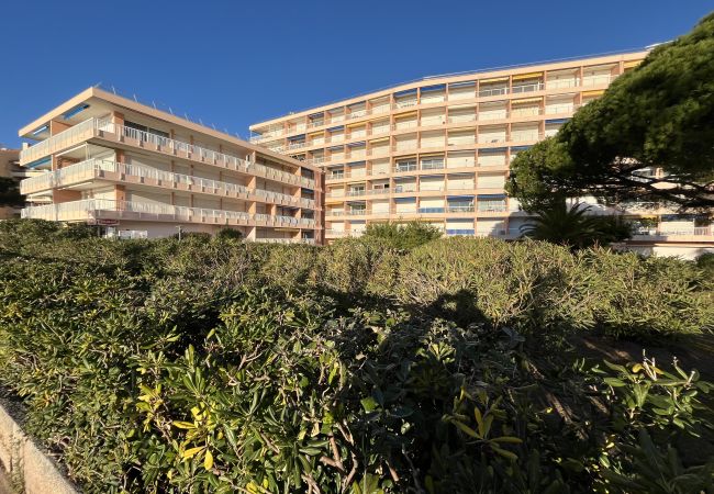 Appartement à Fréjus - Fréjus Plage, Le Méditerranée, Grand T2, 56 m2, 4 personnes, Vue Mer  Appartement à Fréjus - Fréjus Plage, Le Méditerranée, Grand T2, 56 m2, 4 personnes, Vue Mer