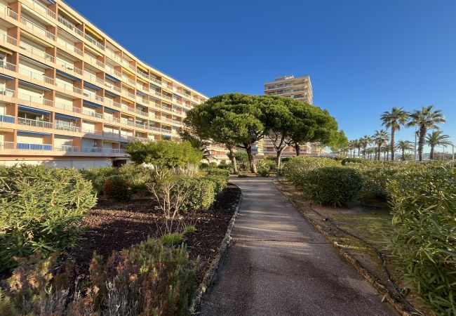 Appartement à Fréjus - Fréjus Plage, Le Méditerranée, Grand T2, 56 m2, 4 personnes, Vue Mer  Appartement à Fréjus - Fréjus Plage, Le Méditerranée, Grand T2, 56 m2, 4 personnes, Vue Mer